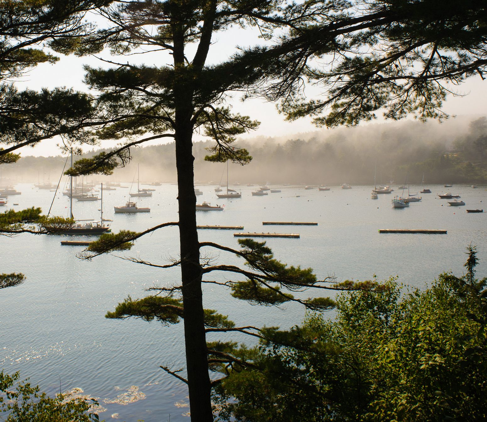 Northeast Harbor, Acadia NP, Maine, USA